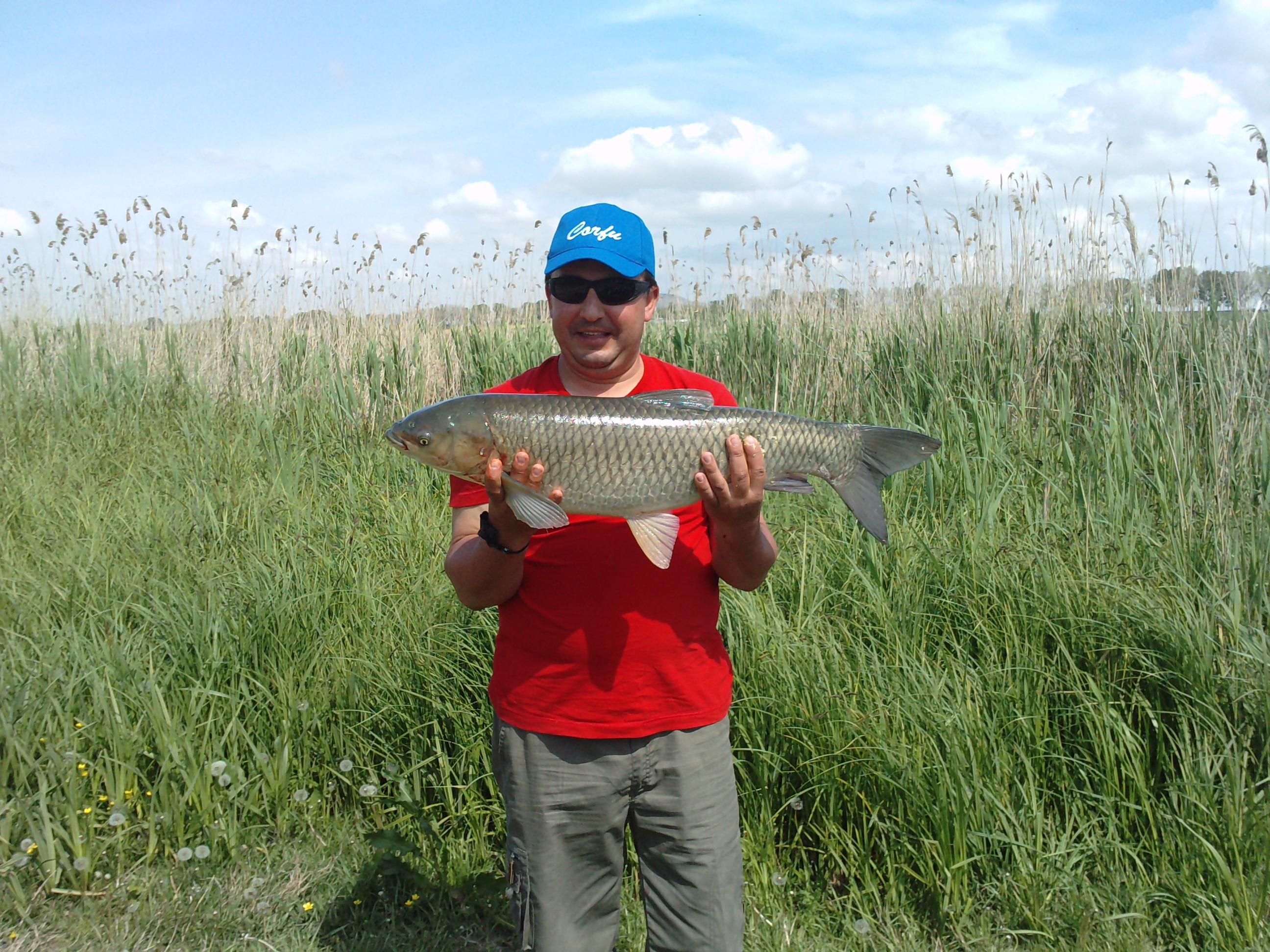 balta topraichioi - P050510_11.050002.JPG